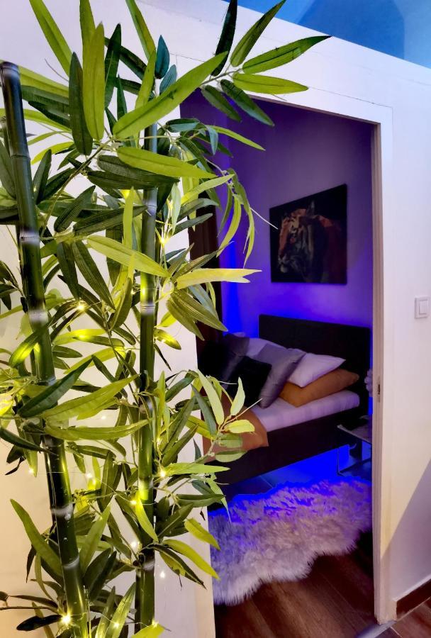 Appartement Dolce vita supremier à Budapest Extérieur photo